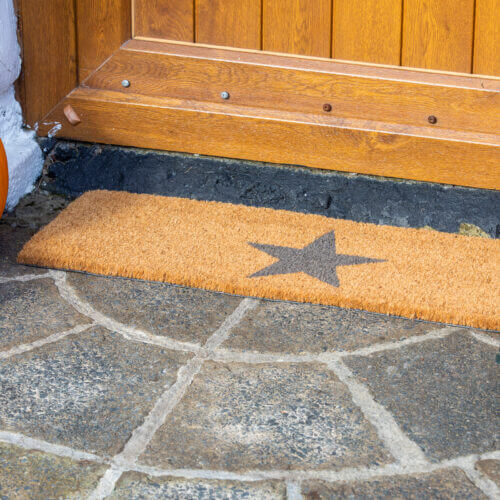 Star Top Step Doormat